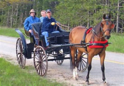 BuggyRide2w.jpg