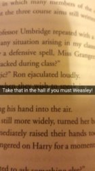 Snapchat-4824073074694363552.jpg
