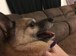 image.jpeg