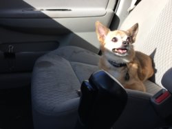 image.jpeg