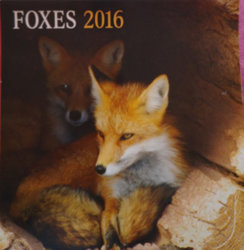 foxes-2016.jpg