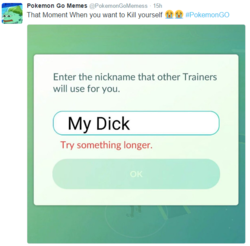 poke2.PNG