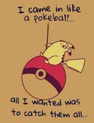 poke9.jpg
