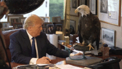 DTBS1.gif