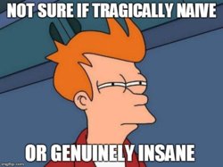 FRY.jpg