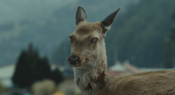 vlc_2016-09-28_15-10-22.png