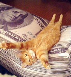 Fat Cat.jpg