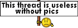this_thread_is_useless_without_pics_zps4d28c3ae.gif