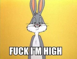 fuck-Im-high.jpg