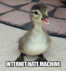 545px-internet-hate-machine.jpg