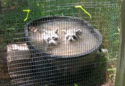 fresh water44.JPG