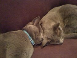IMG_0611.JPG