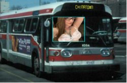 amberbus.jpg