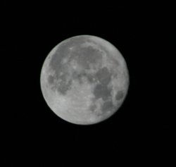 supermoon1.jpg