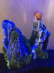 IMG_0688.JPG