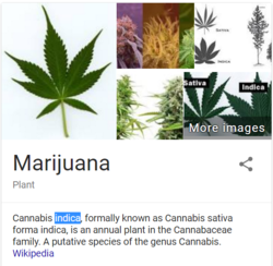 chrome_2016-12-06_04-51-52.png chrome_2016-12-06_04-51-52.png