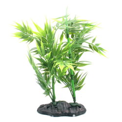 plant 5.jpg