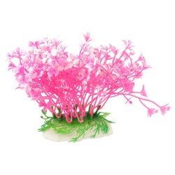 plant 6.jpg