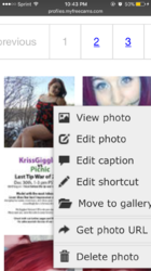 IMG_9769.PNG