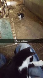 FB_IMG_1487196445981.jpg