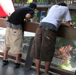 saggin-pants-4-300x296.jpg