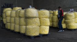 giant popcorn.jpg