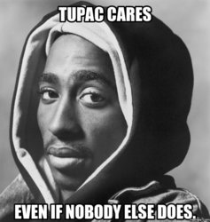 a8a6519baa59544428ed83837938994a_tupac-cares-even-if-memescom-tupac-cares-meme_640-673.jpeg