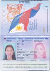 modernppassport.jpg