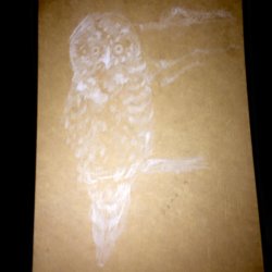 cardboard owl.jpg