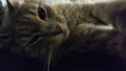 IMG_20170726_021815547.jpg
