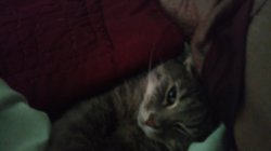 IMG_20170728_113628921.jpg