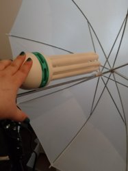 IMG_20170610_185849.jpg