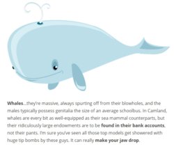 Whales.jpg