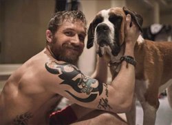tomhardy1.jpg