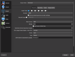 OBS Output Settings (2500).png