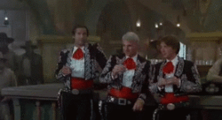 giphy.gif