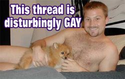 Thread-Gay-Disturbing-(n1294451628986).jpg