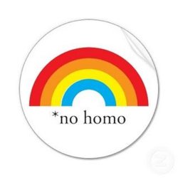 nohomo.jpeg