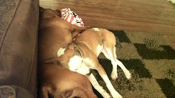 2011-06-25 23-29-23.155.jpg