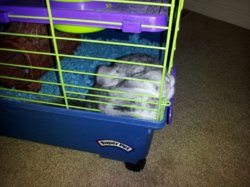 2011-07-14_19.31.08.jpg