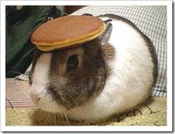 bunny_pancake.jpg