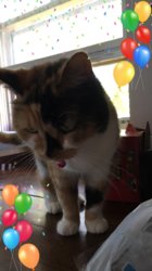D0CE34BB-0C87-4C23-B512-70EE467D5A2B.jpeg
