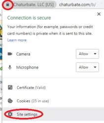 Google-Chrome-Flash-Enabled_New-Interface_1.jpg