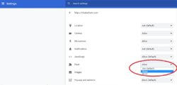 Google-Chrome-Flash-Enabled_New-Interface_2.jpg
