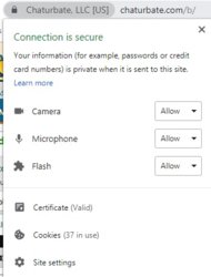 Google-Chrome-Flash-Enabled_New-Interface_3.jpg
