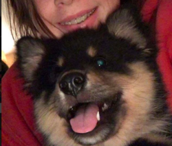 Screen Shot 2018-09-27 at 2.25.40 AM.png