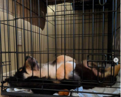 Screen Shot 2018-09-27 at 2.25.55 AM.png