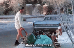 tenor.gif