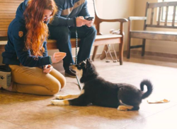 Screen Shot 2019-01-07 at 10.14.27 AM.png