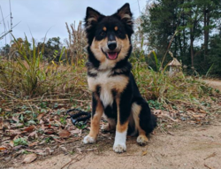 Screen Shot 2019-01-07 at 10.13.15 AM.png